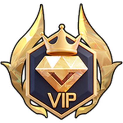 VIP Pass